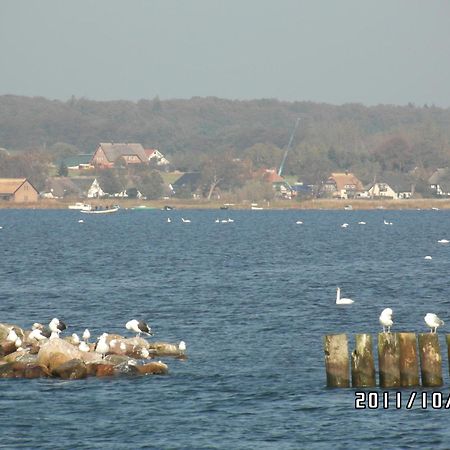 Pension Deichgraf Middelhagen Bagian luar foto