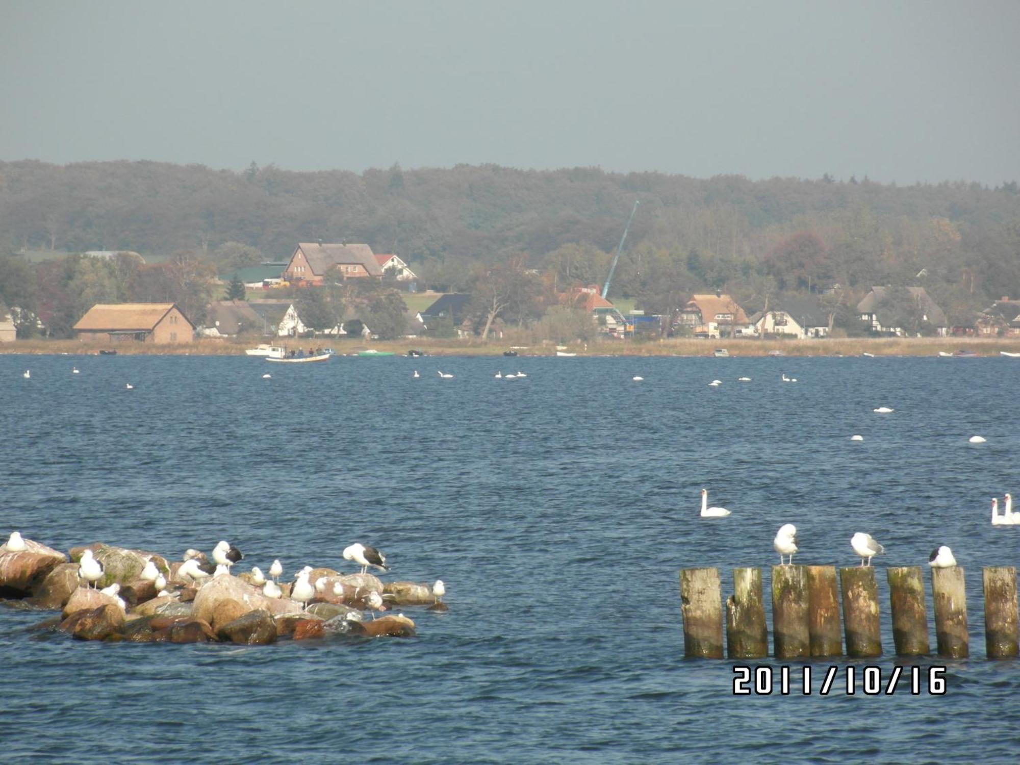 Pension Deichgraf Middelhagen Bagian luar foto